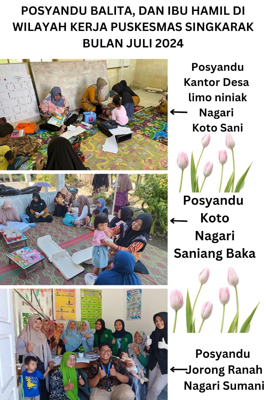 POSYANDU BALITA DAN IBU HAMIL